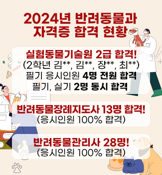 2024년도 자격증 현황