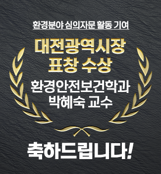 대전광역시장 표창